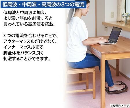Amazon.co.jp: 保阪尚希監修 フットエナジープロ FE-002 (ブラウン