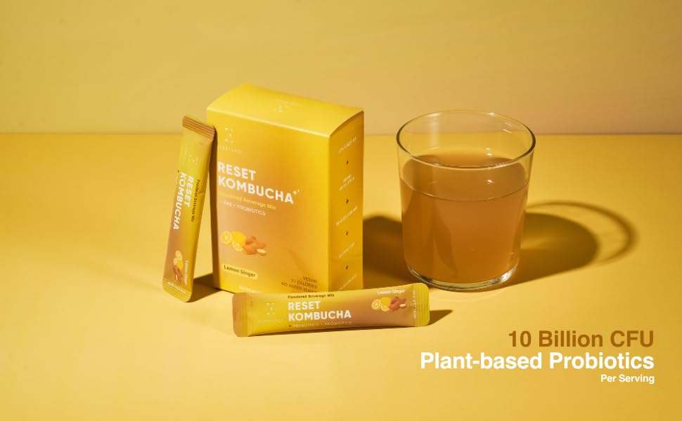 Amazon.com: Everydaze Reset Kombucha Tea Powdered Beverage Mix