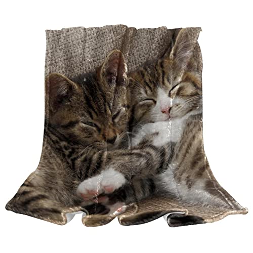 Couvertures en microfibre TBOUOBT plaid peluche lit canapé chats