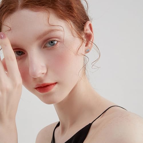 Turquoise Stud Earrings 925 Sterling Silver Feather Earrings Indigenous Jewelry Native American Gifts for Women2