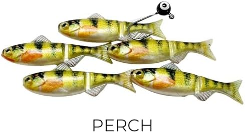 Field Tester Kit – 1/16 & 1/32 oz Sizes | 8 Jig Minnow Types (Shad, Perch, Patriot, Rainbow, Dace, Crappie, Sunfish, Blue Sunfish) | 40 Total Pieces per Kit