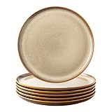 LERATIO Ceramic Dinner Plates Set of 6, 10.5 Inch Reactive Glaze Porcelain Plates, Modern Shape Dinn