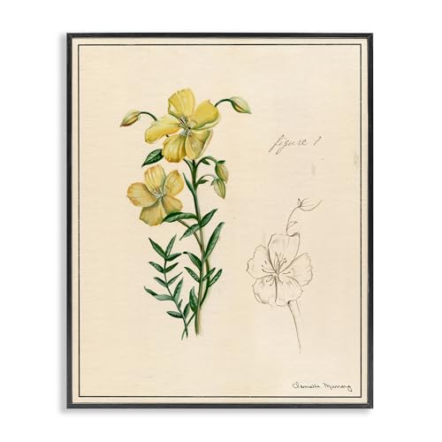 Vintage Botanical Yellow Flower, 16 x 20 Inch Framed Giclée Print