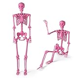 【Squelette Rose Vibrant】Ce squelette taille humaine rose ajoutera une touche unique à votre décoration Halloween. Sa couleur vive offre une ambiance ludique et effrayante, faisant de lui un élément remarquable.