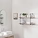 HOMISSUE 2-Shelf Rustic Pipe Shelving Unit, Vintage Industrial Pipe Wall Shelf, Retro Brown