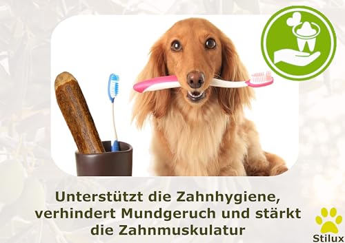 Stilux® Kauhloz aus Olivenholz für Hunde bis 5Kg, Größe XS, Kauknochen Hundespielzeug, langlebiges Holzknochen Kauspielzeug zur Hund Zahnpflege