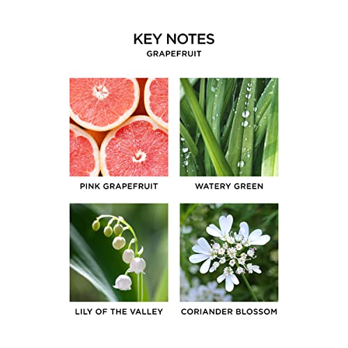 Nest Fragrances Nest03Gf002 3-Wick Candle- Grapefruit , 21.2 Oz #TOP2