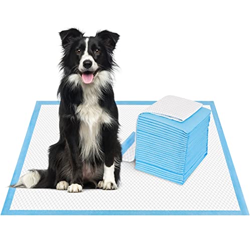 Image of Dog and Puppy Training Pads, Disposable Dog Pee Pads (40, 23.5 inch*23.5 inch(60*60cm))