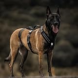 Escape-Proof Dog Harness Medium with Large Handle, Anti-Pull Reflective Working Service Pets Vest, Breathable Pets Vest, Adjustable Lift Support Body Harness Large Dogs (Black, L) - Image 7