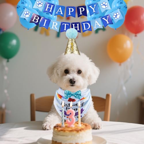 Set de Sombrero y Bandana para Cumpleaños de Perros miniatura 2