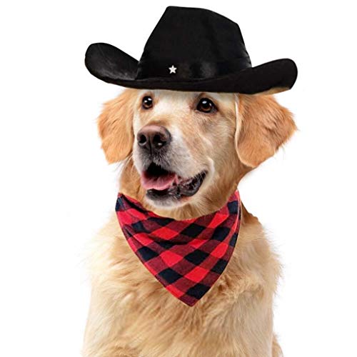 Cool Pet Dog Cat Cowboy Costume Hat and Bandana Scarf Set of 2 - Image 8