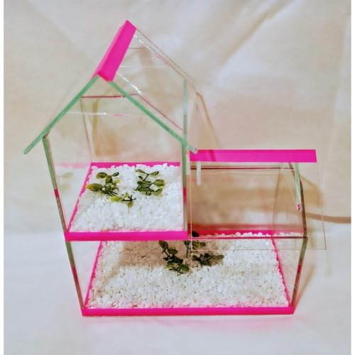 Aquario Beteira Modelo Castelo Peixe Betta Dois Andar com Pedrinhas e Planta Artificial (Laranja)