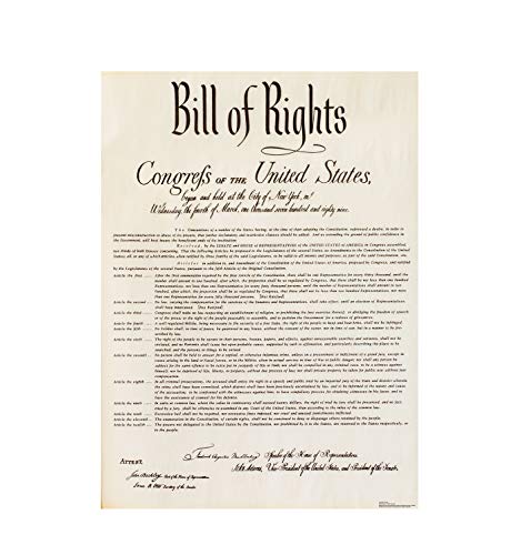 Image of Advanced Graphics Bill of Rights Life Size Cardboard Cutout Standup