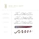 Ferris Wheel Press Fountain Pen Ink | FerriTales Collection | Scarlet Red with Blue Shimmer and yellow sheen | 20ml