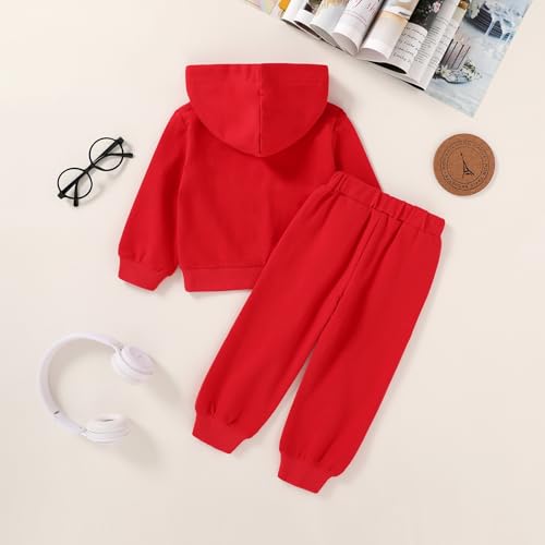 Image of YOUNGER STAR Toddler Baby Boy Girl Clothes Fall Winter Outfits Long Sleeve Hoodie Sweatshirt Sweat Pants Cotton Sweatsuits