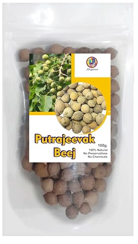 Image of JOrganics Putrajeevak Beej, Putrajivak Seed, Putr Jivak, Roxburghii For Women - 100gram, Pack of 1