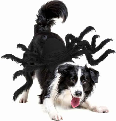 Disfraz de araña para perros y gatos pequeños 16.5 in miniatura 3