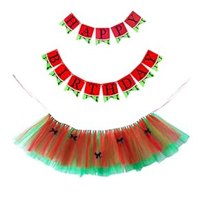 TINGLY GIFT Watermelon Theme 1st Birthday Tutu for Baby Girl High Chair Decoration One in A Melon Summer Fruits Party…