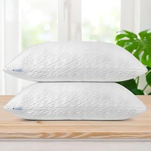 Elif Home Goods Viscose Kissen 2er-Set