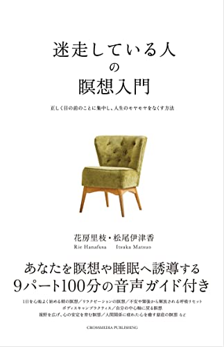 迷走している人の瞑想入門――正しく目の前のことに集中し、人生のモヤモヤをなくす方法