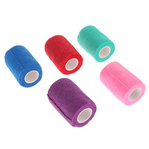 ybg n  L q sDz b S bve[v LTCY 5