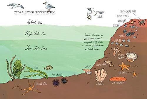 Ocean Anatomy: The Curious Parts & Pieces of the World Under the Sea