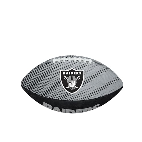 Image of WILSON Unisex NFL Team Tailgate Footballs