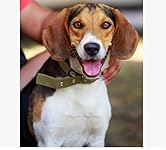 Review Image by DRae83