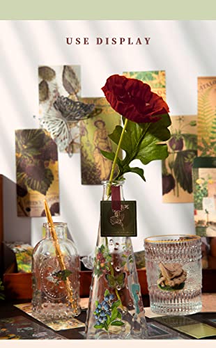 Dwpetzo Vintage Scrapbooking Supplies Kit,270Pcs Aesthetic Botanical Scrapbook Kit Incl.srapbook Paper,A6 Grid Notebook,Journaling Stickers For Bullet Junk Journals,Planner,Diy Craft Art Collage #TOP5