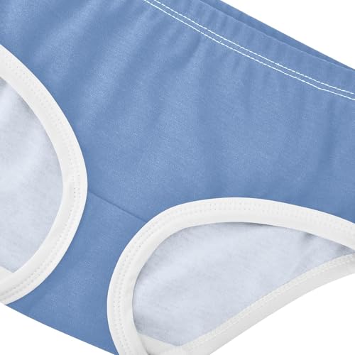 Joisal Cotton Toddler Girls Underwear Medium Blue Girl Panties Cute Cartoon Briefs Kids Undies 2t4