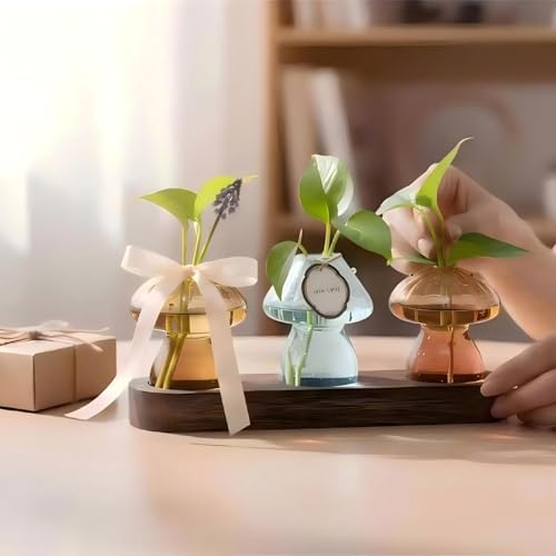 Remadascb Plant Propagation Stations Mini Vase Set, Set of 3 Colored Glass Vases for Indoor Plants, Mini Plant Terrarium for Home Garden Window Office Mushroom Decoratioins — view 4
