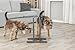 Trixie 2497 Hundebar, separat höhenverstellbar, 2 × 2,8 l/ø24 cm