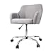 SMUGDESK Home Office Chair Padded Computer Task Chair Adjustable Desk Chair with Swivel Casters for Office Leisure Grey
