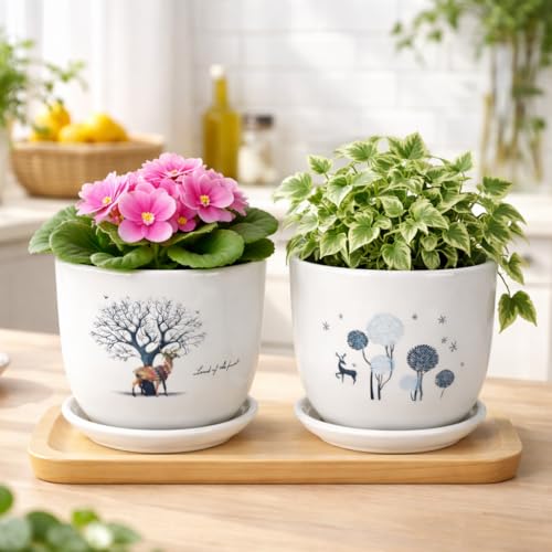 Image of Xtore Charming Ceramic Planter Pots with Drain Tray | Set of 2 Decorative Flower Pots for Indoor Plants, Balcony & Tabletop Styling (Pack of 2, Planters only)
