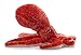 The Petting Zoo Pacific Red Octopus Stuffed Animal Plushie, Gifts for Kids, Wild Onez Sealife Animals, Octopus Plush Toy 14 inches