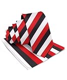 Vittorio Farina Premium Satin Striped Necktie & Pocket Square Set for Men (Black/White/Red)