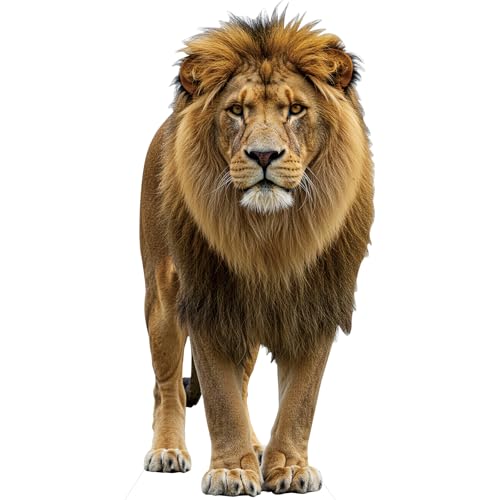 Image of Lion 4FT Life Size Cardboard Cutout, 1 PC, Party Decor & Photos | Fun Animal Standup for Birthday, Events, Photo, and Party Decoration