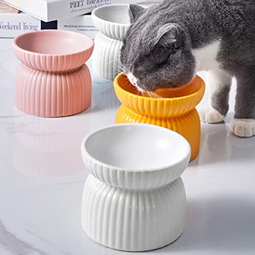 Gamelle surélevée en céramique pour chat et chiot avec son support stable