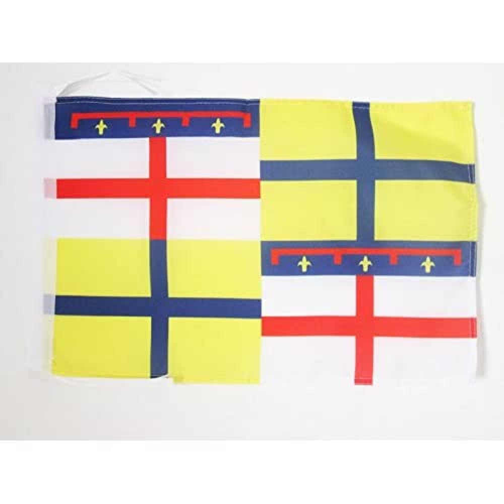 AZ FLAG - Emilia Flag - 18'' x 12'' - 100% Polyester Italy - Italian Region Small Banner with Two Cords - Fade Resistant - Vivid Colors - 18x12 in - 45x30 Cm — image 1