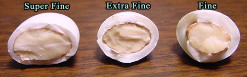 Jordan Almonds - Super Fine (Best Grade) - Violet/Lavendar - Polished (shiny) 1 pound