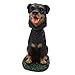Animal Den Rottweiler Dog Bobblehead Figure for Car Dash Desk Fun Accessory