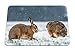 (Alfombrilla para ratón Mouse Mat Gaming) Snow, Conejos, Winter Gaming Alfombrilla para ratón Alfombrilla para ratón