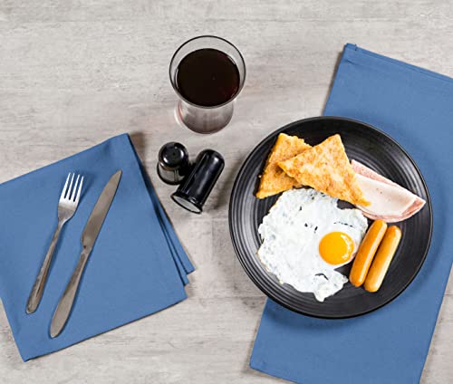 Twiny Threads Cloth Napkins 100% Cotton 17 X 17 Inch Dinner Napkins Set Of 12 Cotton Dinner Table Napkin Soft Washable Hotel Quality Kitchen Napkins For Home, Restaurant, Wedding - Sky Blue #TOP2