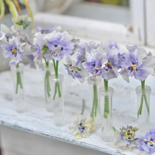 90 Pcs Flower Tubes Plastic, 7x1.5cm Test Tubes for Hanging Flowers Flower Water Tubes with Caps - Image 4