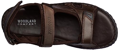 Image of Woodland Men's Leather Sandal