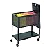 SAF5351BL - Safco Steel Mesh Tub File