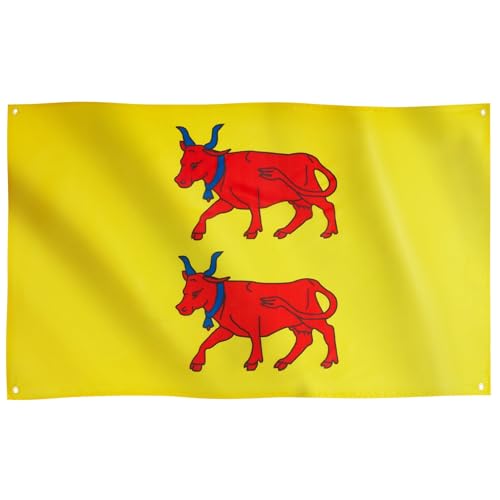 Drapeau Runesol de la province du Béarn, 91 x 152 cm, 91 x 152 cm, Pyrénées-Atlantiques, 4 œillets, œillets à chaque coin, bannière de région...