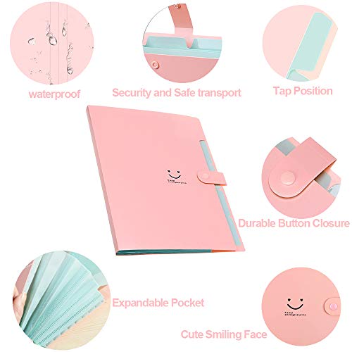 4 Packs Expanding File Folders, 5 Pockets A4 Letter Size Accordion Folder Paper Organizer With 48Pcs Colored Labels, 80Pcs Paper Clips, And 20Pcs Paper Clamps (Jade/Purple/Black/Pink) #TOP2