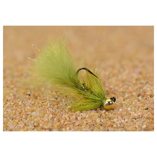 Region Fishing 6 Ct - Tungsten Micro Olive Wooly Bugger Jig Head Fly - Euro Nymph - Hanak Hook (Hook #10)