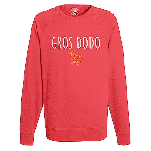 Sweat Shirt Homme Gros Dodo : combattez l'insomnie par le rire et l'humour animal